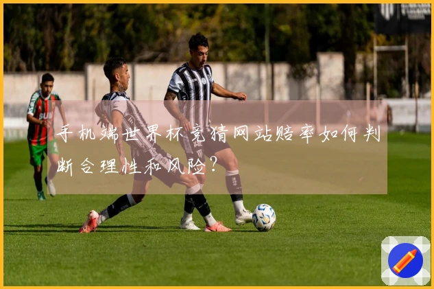 手机端世界杯竞猜网站赔率如何判断合理性和风险？