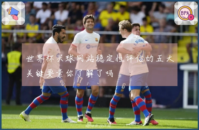 世界杯买球网站稳定性评估的五大关键要素你了解了吗