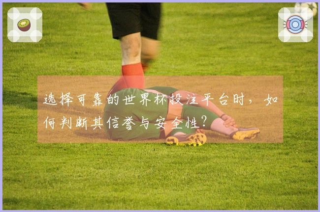 选择可靠的世界杯投注平台时，如何判断其信誉与安全性？