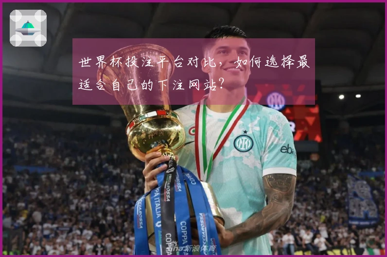 世界杯投注平台对比，如何选择最适合自己的下注网站？