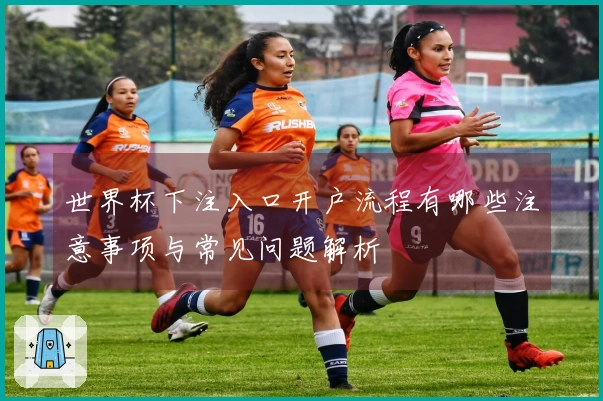 世界杯下注入口开户流程有哪些注意事项与常见问题解析