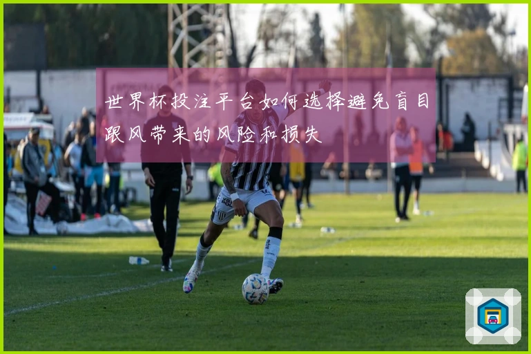 世界杯投注平台如何选择避免盲目跟风带来的风险和损失