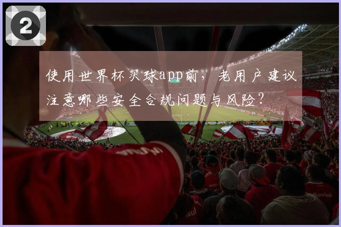 使用世界杯买球app前，老用户建议注意哪些安全合规问题与风险？