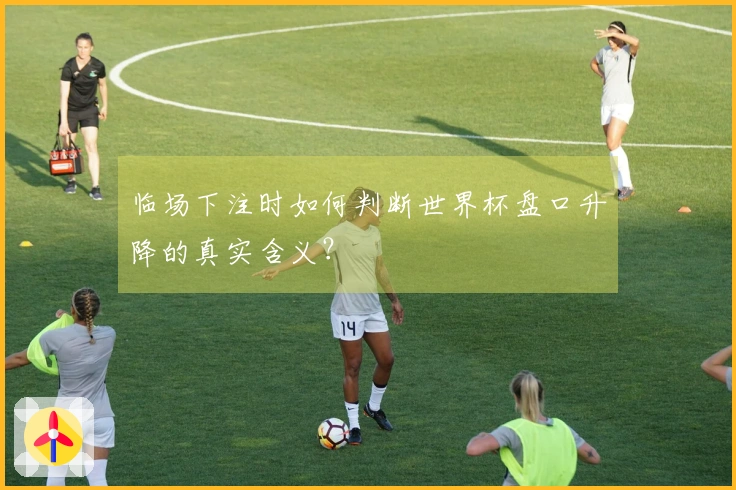 临场下注时如何判断世界杯盘口升降的真实含义？
