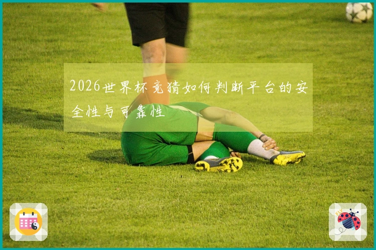 2026世界杯竞猜如何判断平台的安全性与可靠性