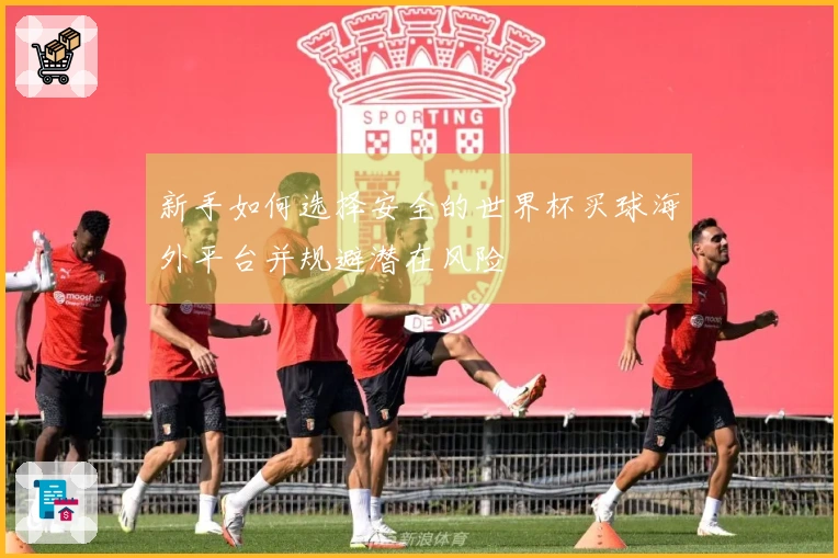 新手如何选择安全的世界杯买球海外平台并规避潜在风险