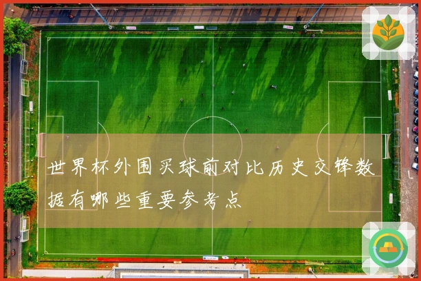 世界杯外围买球前对比历史交锋数据有哪些重要参考点