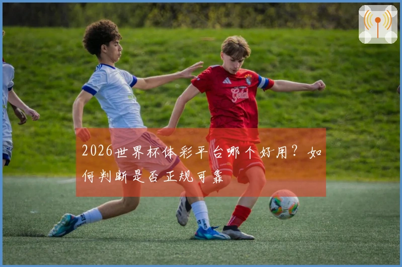 2026世界杯体彩平台哪个好用？如何判断是否正规可靠