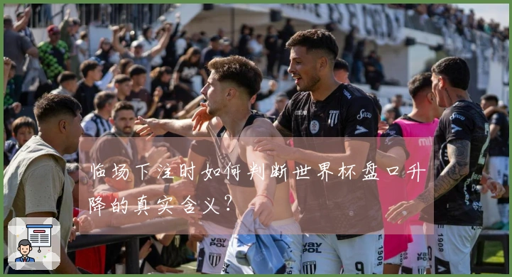 临场下注时如何判断世界杯盘口升降的真实含义？