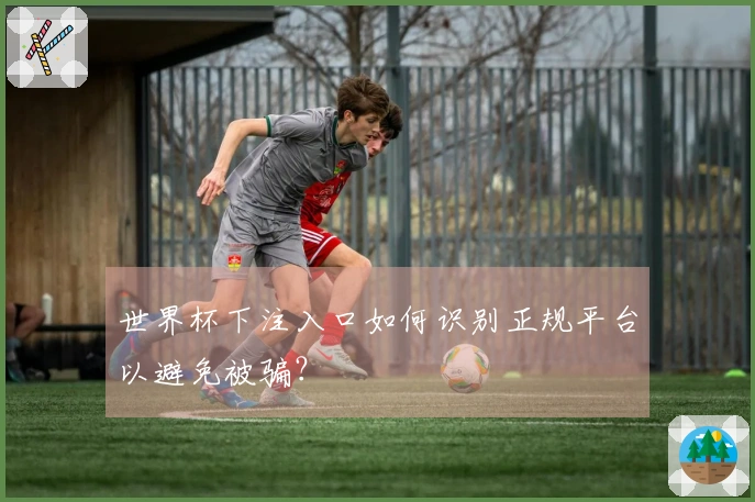 世界杯下注入口如何识别正规平台以避免被骗？