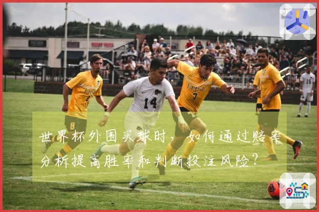 世界杯外围买球时，如何通过赔率分析提高胜率和判断投注风险？