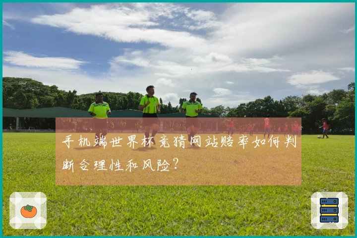 手机端世界杯竞猜网站赔率如何判断合理性和风险？
