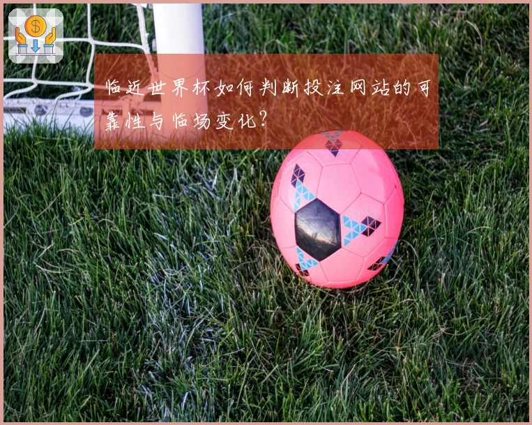 临近世界杯如何判断投注网站的可靠性与临场变化？
