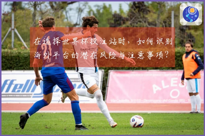 在选择世界杯投注站时，如何识别海外平台的潜在风险与注意事项？