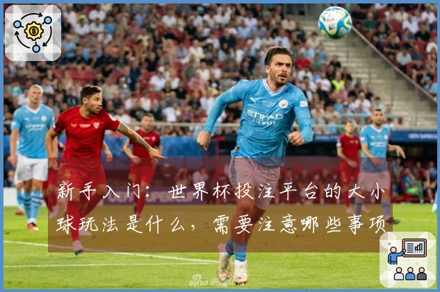新手入门：世界杯投注平台的大小球玩法是什么，需要注意哪些事项？