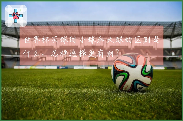 世界杯买球时小球和大球的区别是什么，怎样选择更有利？