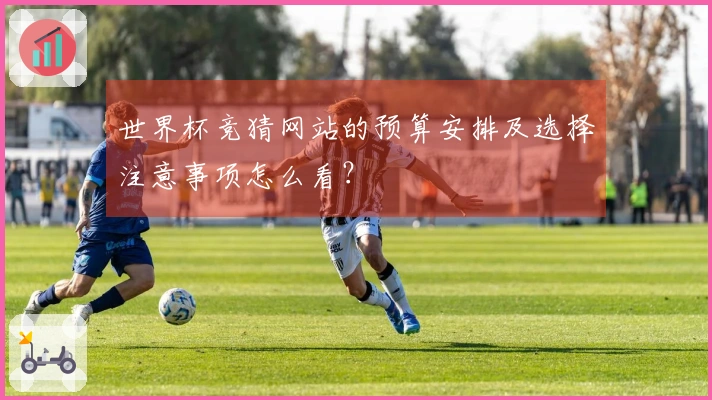 世界杯竞猜网站的预算安排及选择注意事项怎么看？