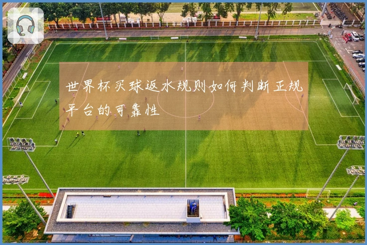 世界杯买球返水规则如何判断正规平台的可靠性