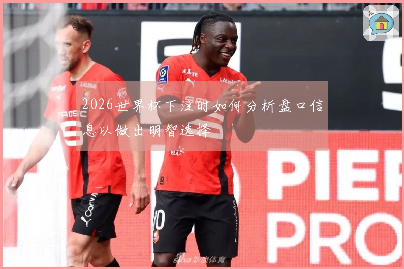 2026世界杯下注时如何分析盘口信息以做出明智选择