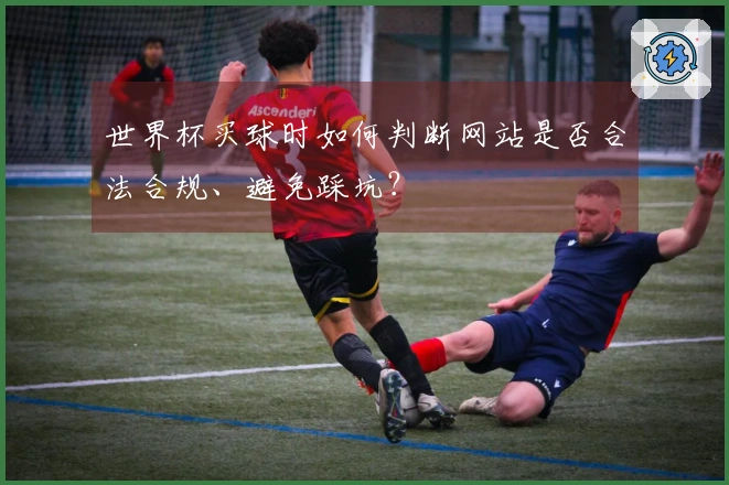 世界杯买球时如何判断网站是否合法合规、避免踩坑？