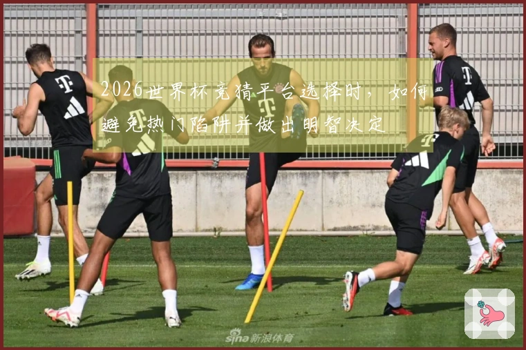 2026世界杯竞猜平台选择时，如何避免热门陷阱并做出明智决定