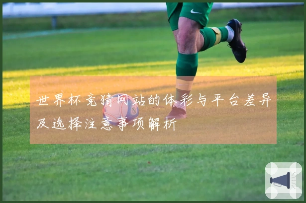 世界杯竞猜网站的体彩与平台差异及选择注意事项解析