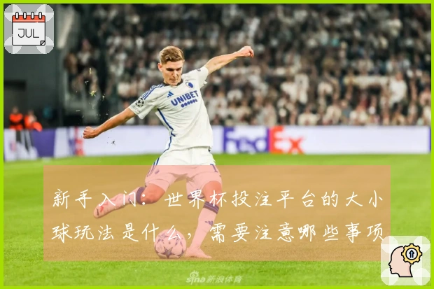 新手入门：世界杯投注平台的大小球玩法是什么，需要注意哪些事项？