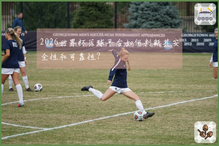 2026世界杯买球平台如何判断其安全性和可靠性？